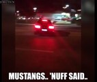 MUSTANGS ATTACK CROWDS AGAIN! Two Mustangs meet their demise at a local car meet in