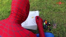 Bagger kinderfilm   Lernen Farben mit spiderman   Bau - Spielzeug Videos