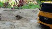 Trucks for children   Excavator videos for children   Toys cars for child