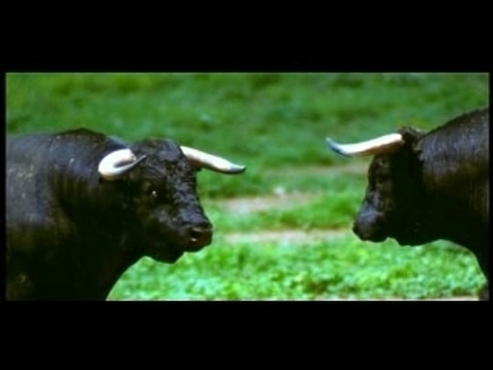 Publicidad Jumbo Semana Internacional de España