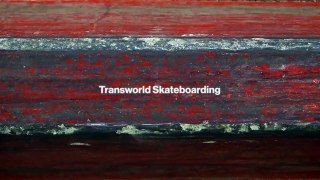 Jart Skateboards, TWS Park   TransWorld SKAT