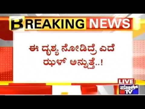 Andhra Pradesh: Man Brutally Murdered By Gang In Broad Daylight