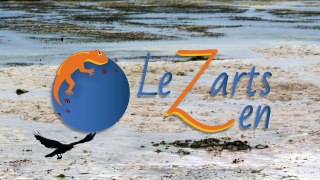 Interview LeZarts Zen - Gaelle Ecoiffier Accord et Voix - Deux Centres