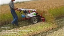Primitive Technology vs World Modern Agriculture Progress Mega Machines Harvester Collector Tra