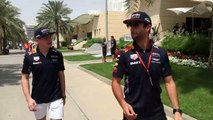 Daniel Ricciardo and Max Verstappen meet the fans in B