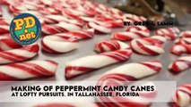 Making hand made candy canes and a little history about Can
