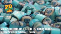 T.A.R.D.I.S. hand made candy at Lofty Pursuits,  It's tastier on the insi