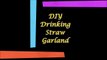 DIY Drinking Straw