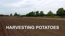 Harvesting Potatoes   2x AVR Puma 3   FENDT 939 & 828 tractors   vd Borne Aardap