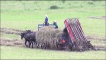Modern Agriculture Equipment And Mega Machine Tractor Compilation #H