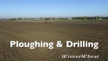 Ploughing & drilling wheat   Fendt 936 & 724 + Kverneland u-drill & 7 furrow plough Van Pep