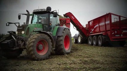 Chasing Sugar Beet   Holmer T4-30 bunker harvester & Grimme Beet Chaser   Breure Kla