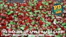 The making of Victorian Apple Image Candy at Lofty Purs