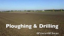 Ploughing & drilling wheat   Fendt 936 & 724 + Kverneland u-drill & 7 furrow plough Van Peperstr