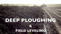 Deep ploughing & Field Leveling   CASE IH Quadtrac 450 & STX 375   Gebr. Bork diepploegen   Plo