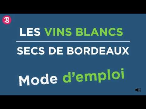 Tout savoir sur les vins blancs secs de Bordeaux