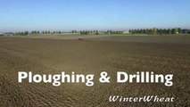 Ploughing & drilling wheat   Fendt 936 & 724   Kverneland u-drill & 7 furrow plough Van Peperst