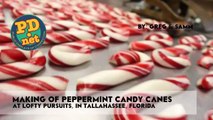 Making hand made candy canes and a little history about C