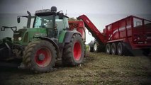 Chasing Sugar Beet   Holmer T4-30 bunker harvester & Grimme Beet Chaser   Breure Kl