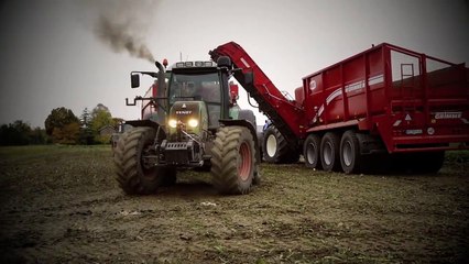 Chasing Sugar Beet   Holmer T4-30 bunker harvester & Grimme Beet Chaser   Breure