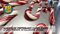 Making hand made candy canes and a little history about Candy Ca