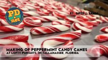 Making hand made candy canes and a little history about Ca
