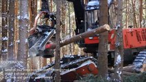 Amazing Modern Mega Machines Unusual Woodwork Sawmill Wood Timber Tractor Cleave