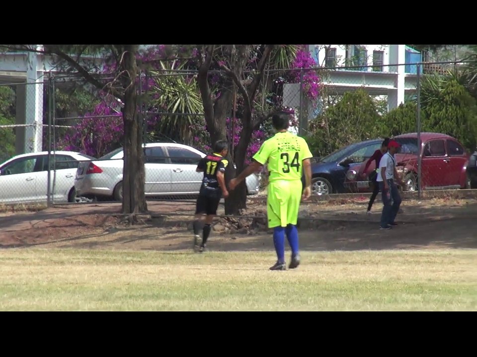 Futbol de Guanajuato Categoria de Veteranos