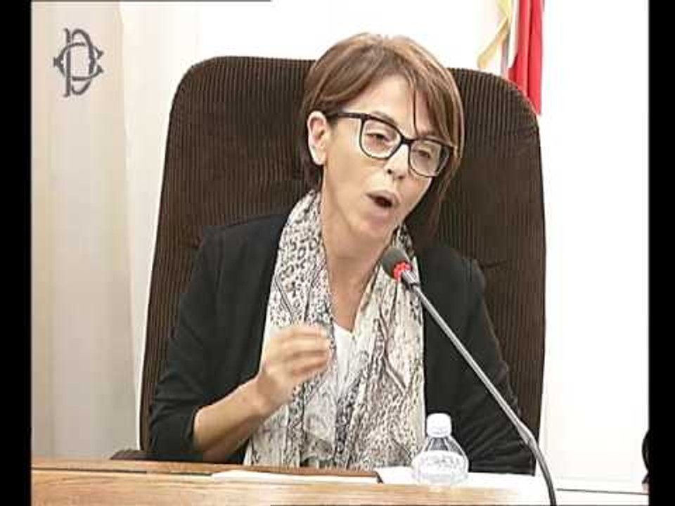 Roma -  Audizione Cgil (30.05.17)