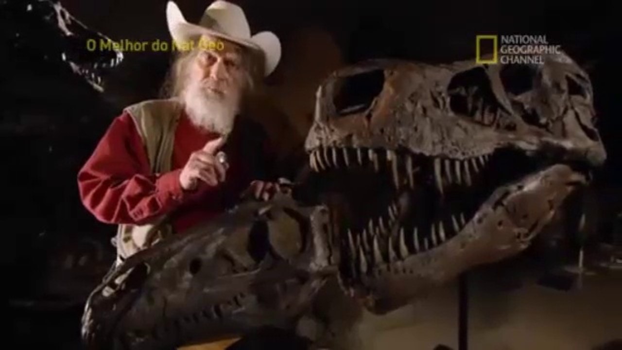Batalha pré histórica - Documentário