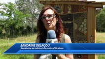 Alpes-de-Haute-Provence : découvrez l'hôtel à insecte d'Oraison, un projet environnemental et éducatif