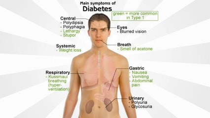 Symptoms of Type 2 Diabetes