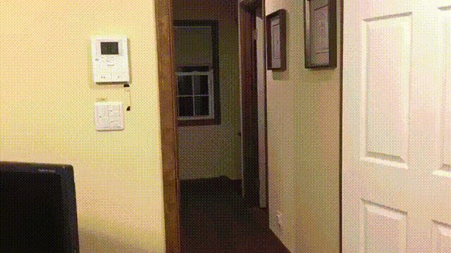 Tom Clancy's Rainbow Six: Rainbow six siege in real life