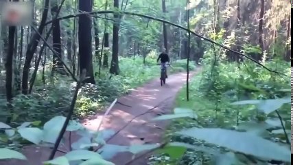 Mejor en karma instantánea - Justicia instantánea - Bully Fail Compilation 2017 _HIGH(1)