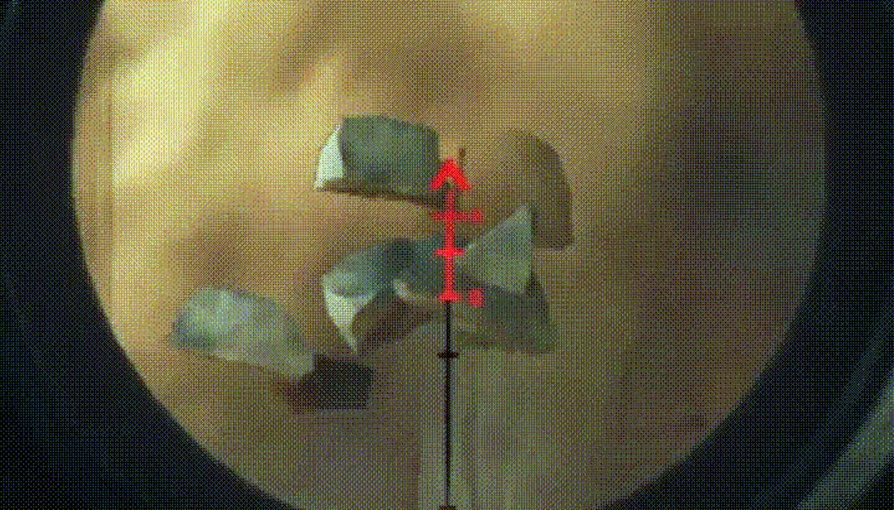 Tom Clancy's Rainbow Six: ubisoft this week