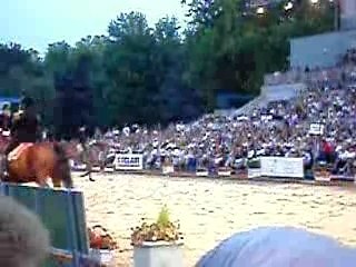 Le cadre noir de Saumur 1