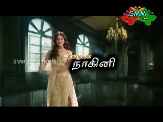 Priyamudan Naagini Title Card Compilation