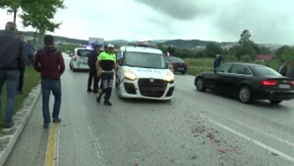 Polis Aracı Aydınlatma Direğine Çarptı: 1 Yaralı