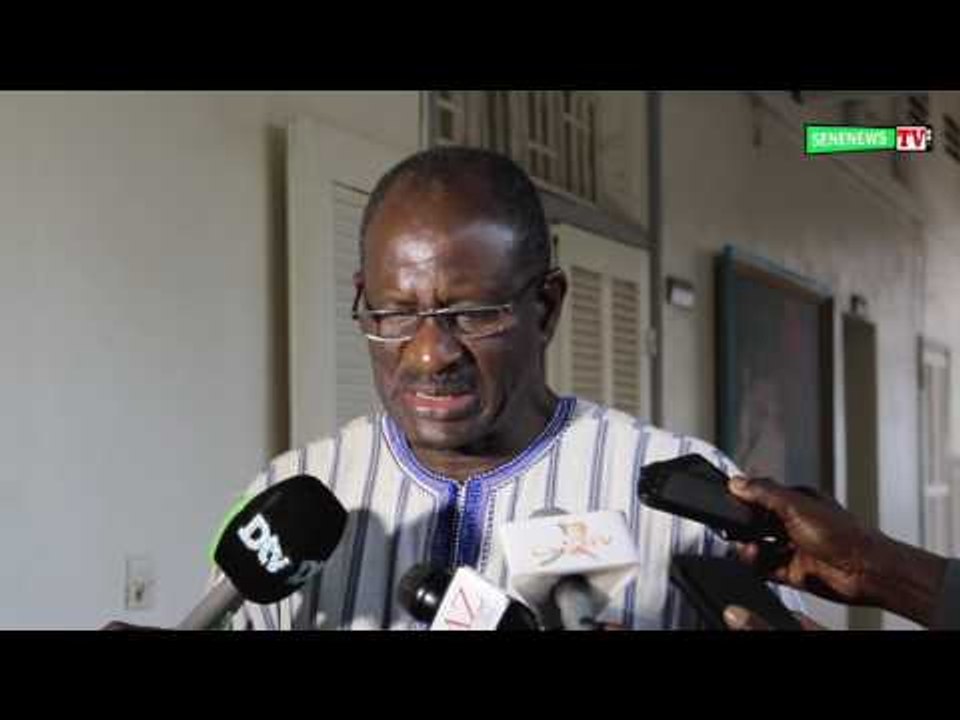 Gambie: des rebelles syriens et libyens seraient en route pour soutenir Yahya Jammeh