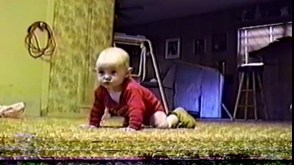 Cute Dogs And Adorable Babies Compilation