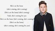 Niall Horan - On The Loose (Lyrics)