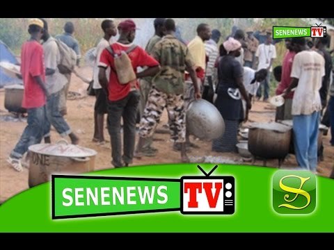 SeneNews TV : Les talibes au service de leur marabout