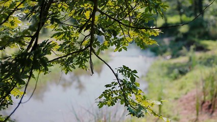 25 The.Legend.of.the.Condor.Heroes.EP25.2017.WEB-DL.1080P.x264.AAC-HQC