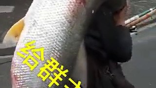 (Chinese funny videos)  with bomb chair