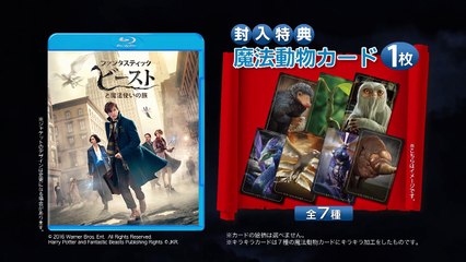 『ファンタスティック・ビー�