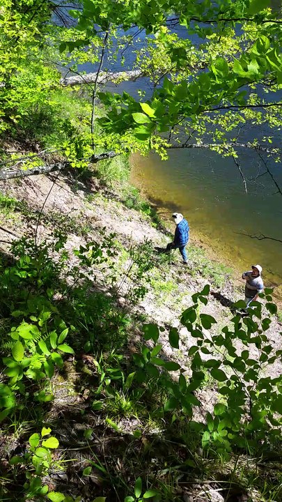 Injured Fawn Rescue! At the Manistee River Loop Trail in Michigan