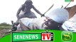 SeneNews TV:  Recrudescence de la tuerie: qu’en pensent les sénégalais