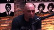 Joe Rogan and Gavin McInnes on Milo Yiannopou