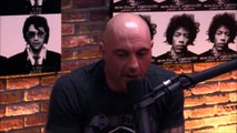 Joe Rogan and Gavin McInnes on Milo Yiannopoulos Controversy - Downloaded from