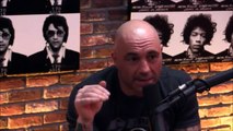 Joe Rogan and Gavin McInnes on Milo Yiannopoulos Controversy - Downloa